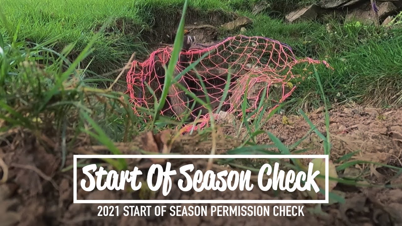 Start Of Season Check On All The Perm & EBAY MK1 COLLAR REVIEW