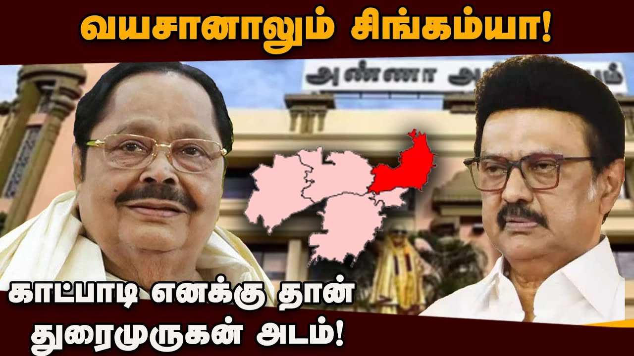 காட்பாடியில் மீண்டும் வாய்ப்பு கேட்கும் துரைமுருகன்: 9வது முறை எம்எல்ஏ ஆக ஆசை | Duraimurugan