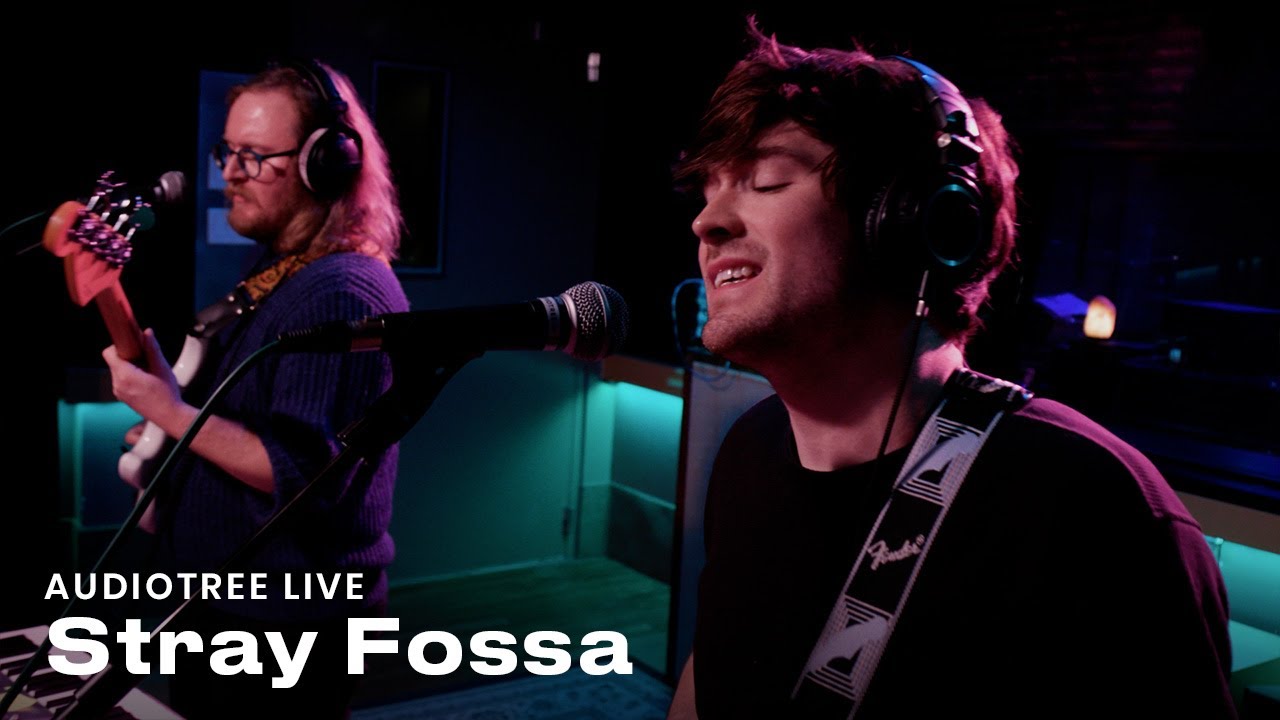 Stray Fossa on Audiotree Live (Full Session)