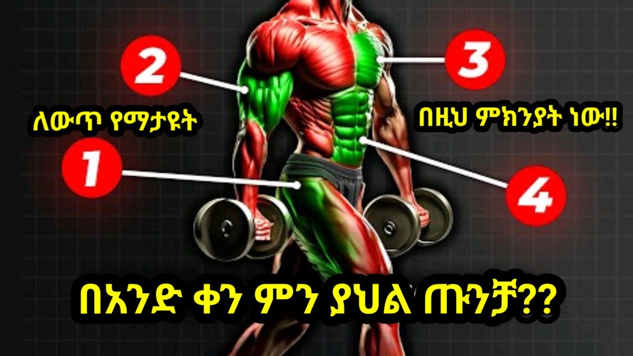 በአንድ ቀን ስንት ጡንቻ ነው ማሰራት ያለብን ? how many muscles per workout
