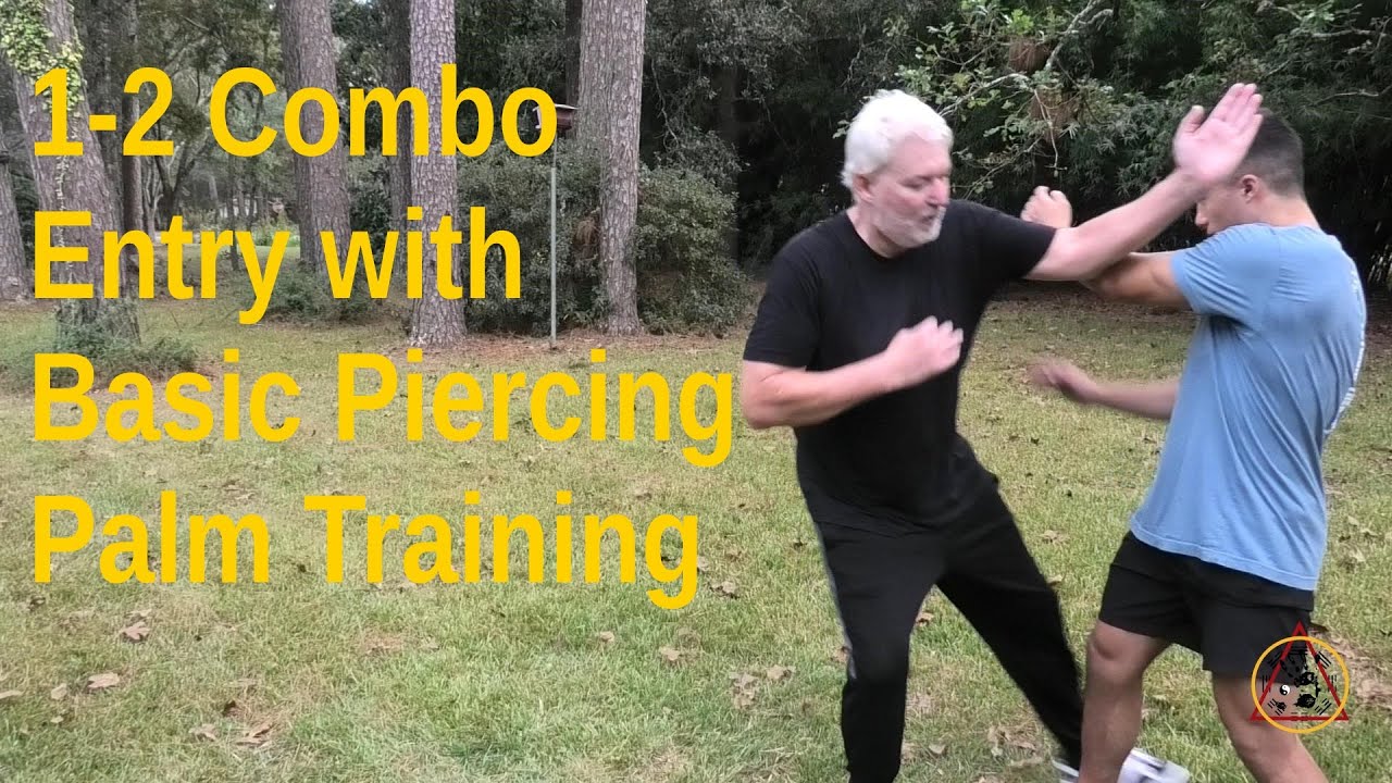 Basic 1-2 Entry Class Highlights with Piercing Palm in Bagua Kuntao Silat