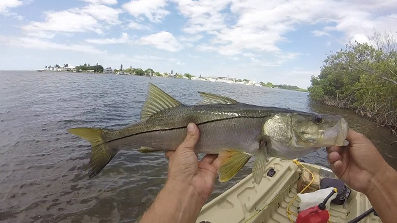 My First Fish Caught with a Baitcaster Reel