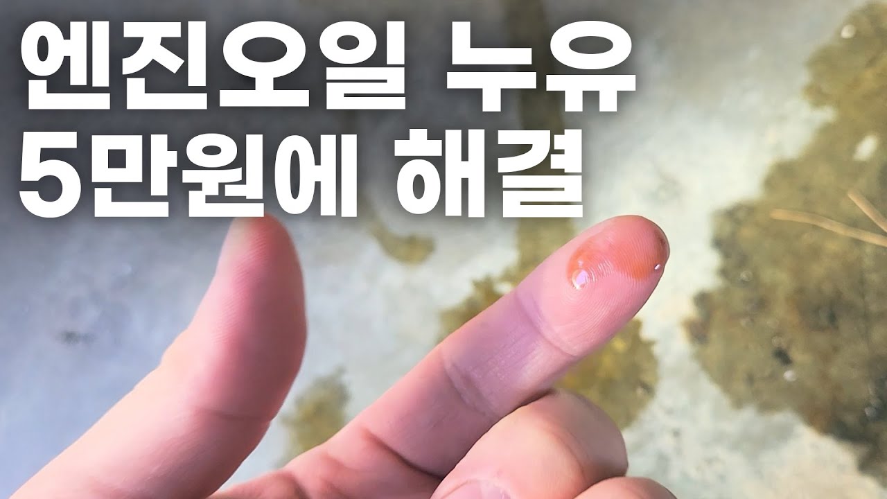 엔진오일 누유 수리비 5만원?