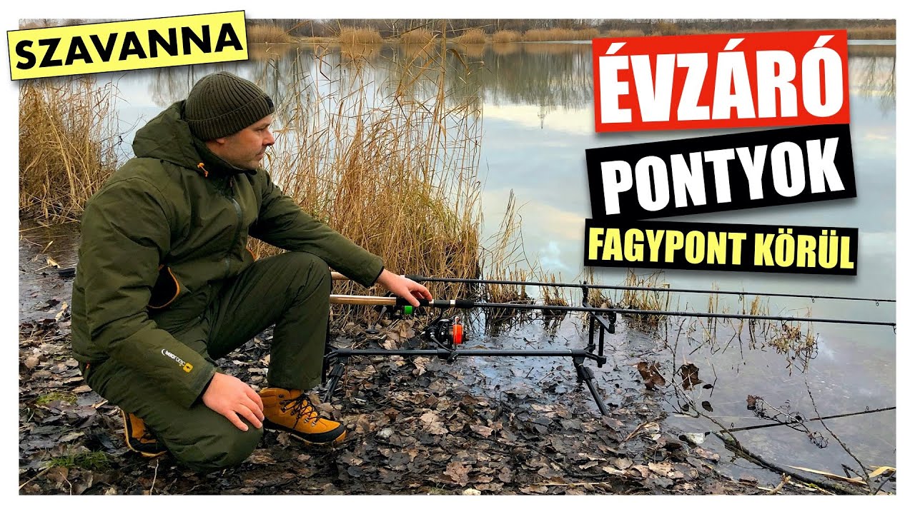 Évzáró pontyok fagypont körül - Szavanna horgásztó