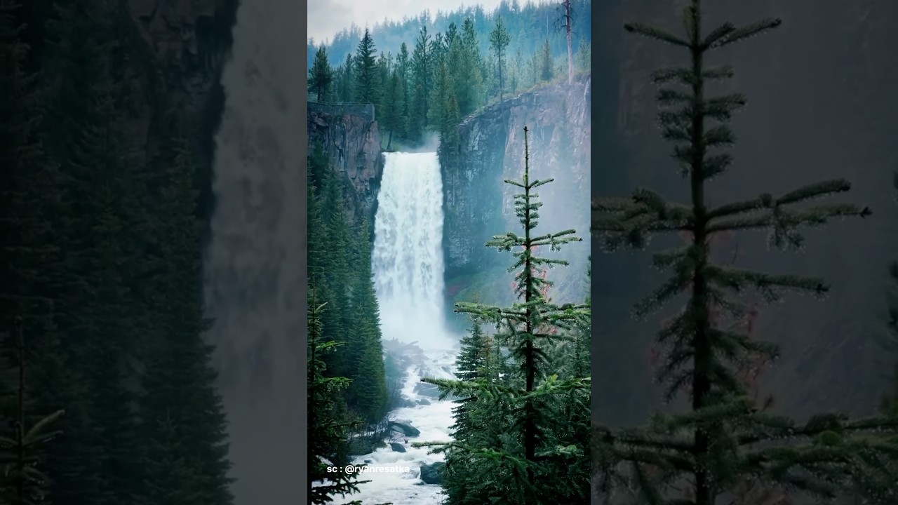 YOUR DAILY DOSE OF CALM #nature #mood #travel #adventure #healing