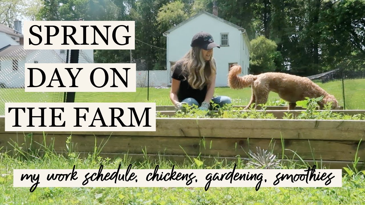 A Spring Day on Our Farm! How I Balance Work & Farm Life + Smoothie Recipe | Becca Bristow MA, RD