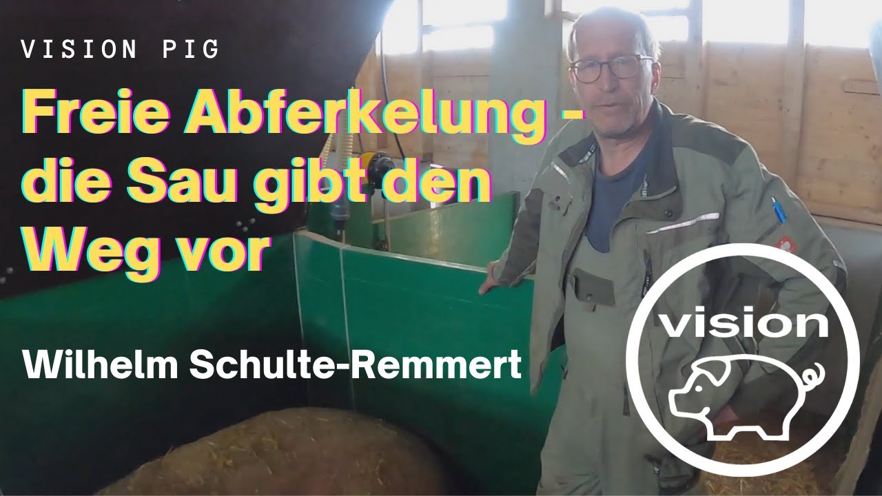 Freie Abferkelung - Die Sau gibt den Weg vor