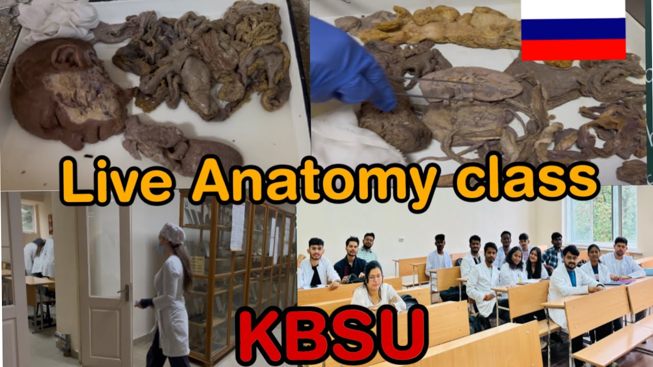 Anatomy class in Russia | kabardino balkarian state university | mbbs in russia 🇷🇺