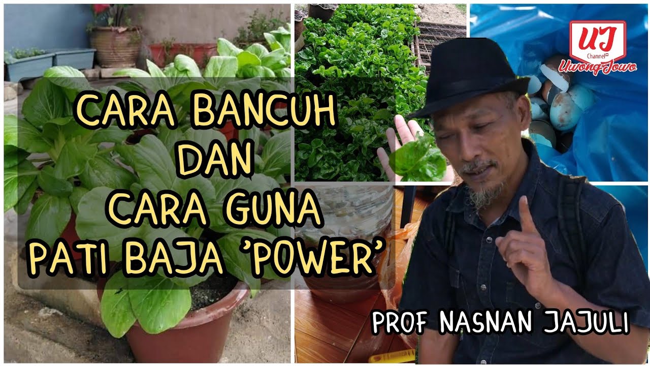 Penjelasan Cara Bancuhan & Penggunaan Pati Baja Subur/Buah | Teknik Semburan