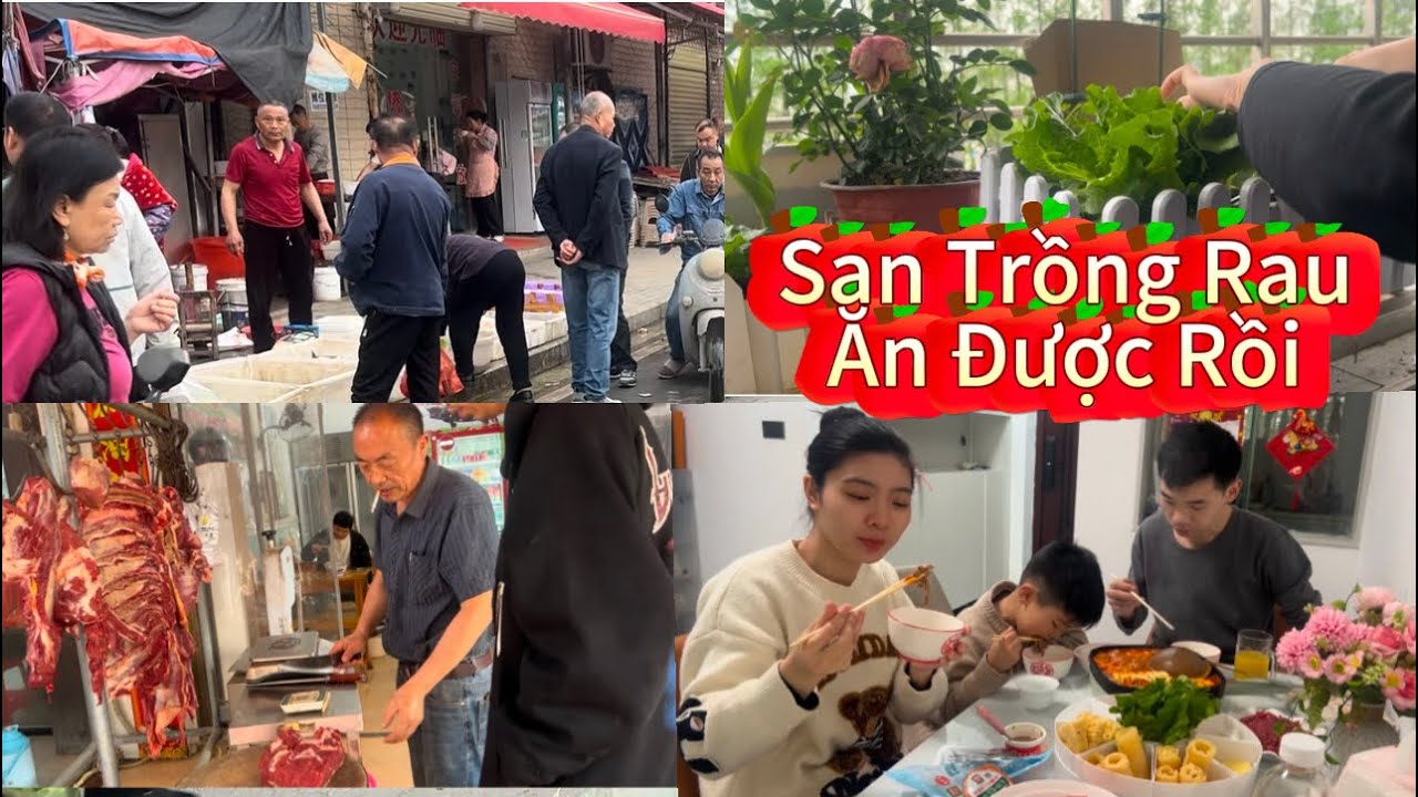Ng&agrave;y Thanh Minh Chồng Trung Được Nghỉ 2 Vợ Chồng Đi Chợ Sớm Mua Thịt B&ograve; Tươi L&agrave;m Bữa Lẩu