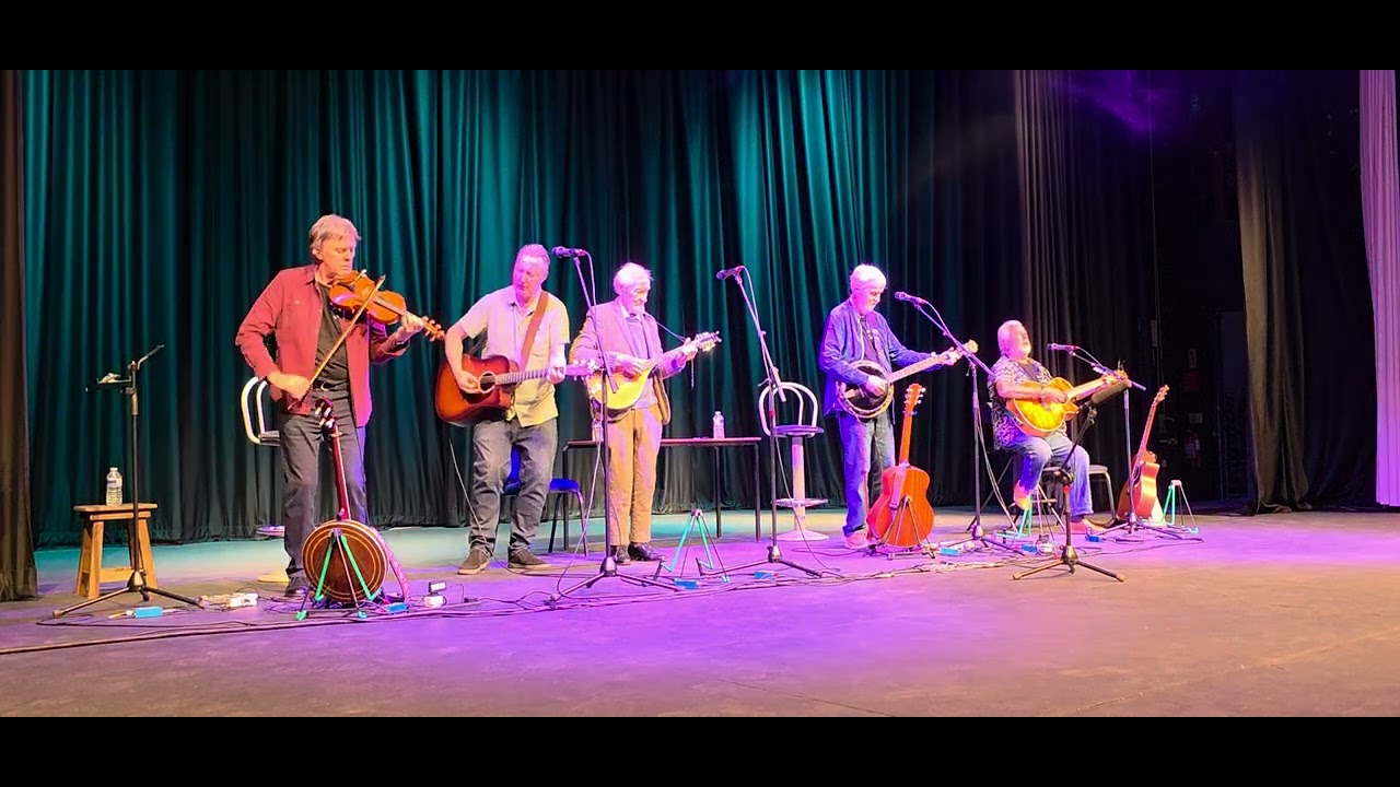 The Dublin Legends- The Irish Rover Live at the Henrican Evesham 