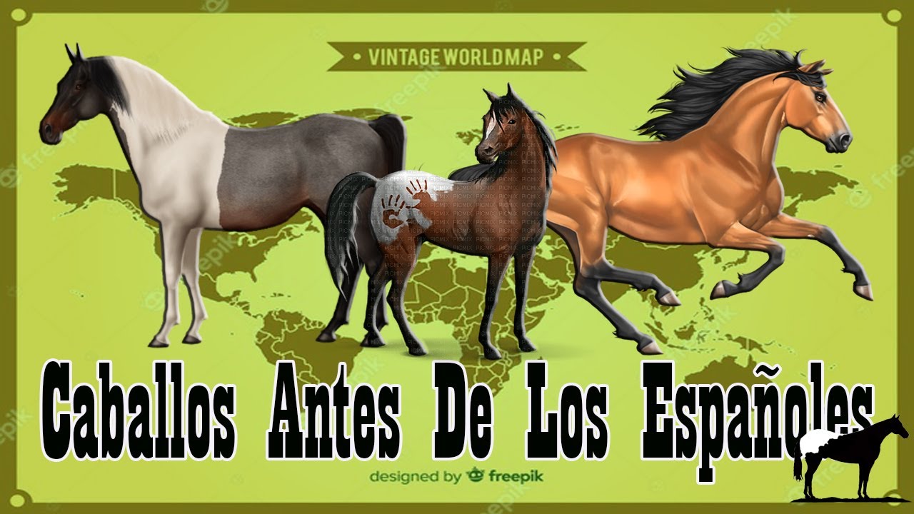 El Caballo Nativo De América 🐴-Del Cerro Soy