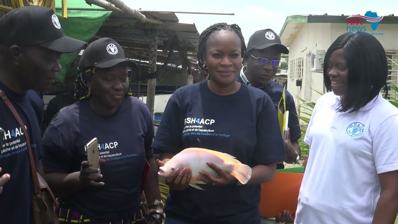 L'aquaculture hors-sol en Côte d'Ivoire : un enjeu pour la sécurité alimentaire