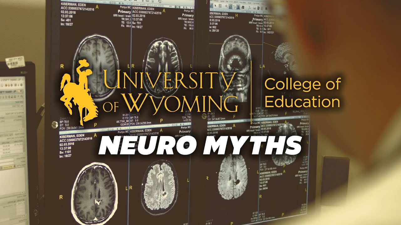 Learning About Neuro Myths & Human Development - UW CoE