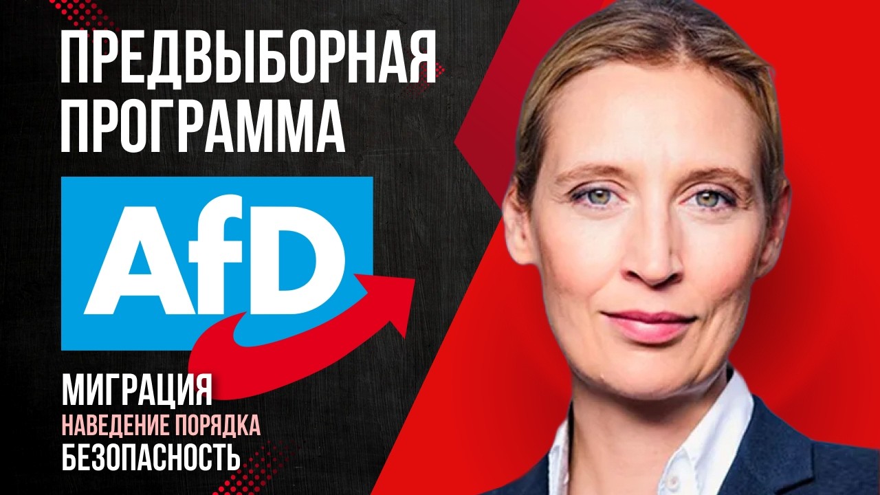 Программа Альтернатива для Германии (АдГ/AfD) - Миграция, Пособия, Отмена GEZ и др. / Миша Бур 2