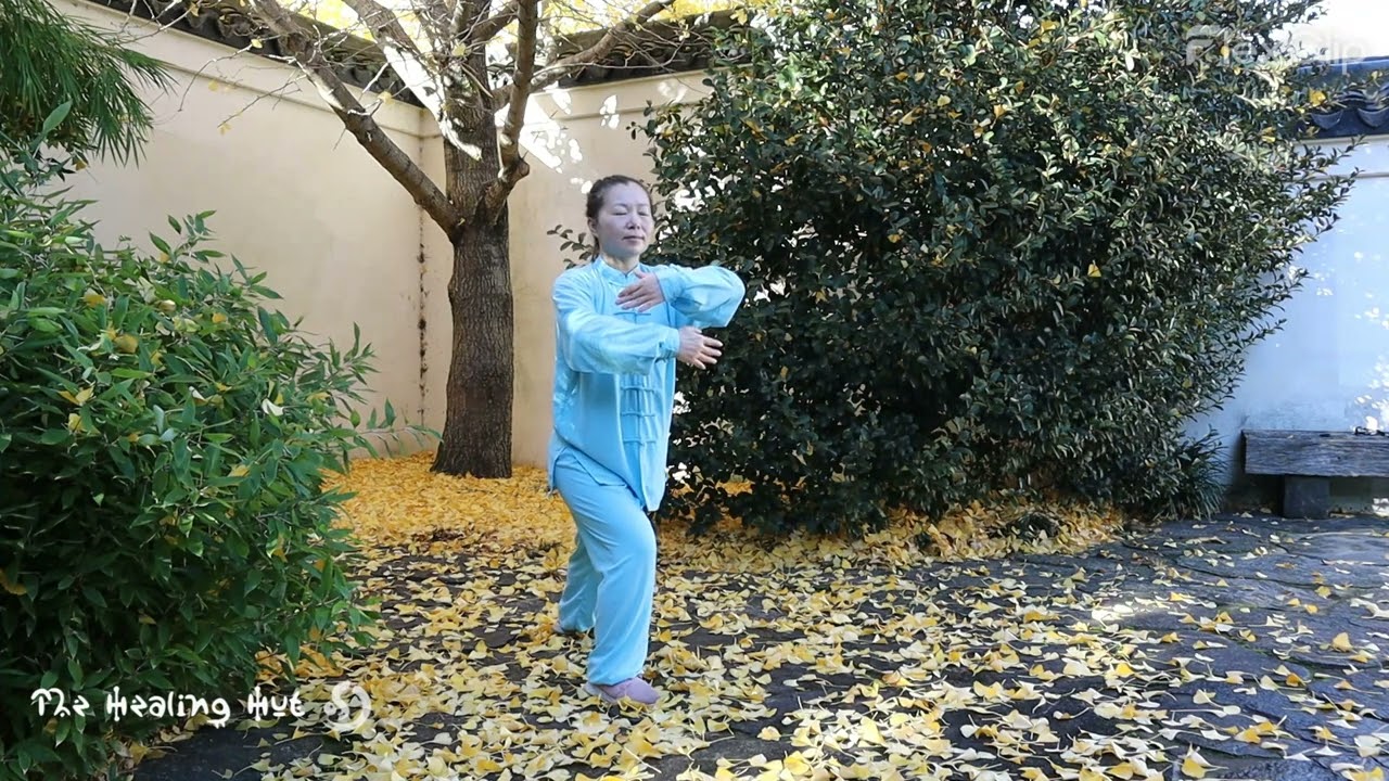 Master closing the door- Wu Dang 9-Form Tai Chi-Tai Chi for beginners-Tai Chi Qi Gong-New Zealand
