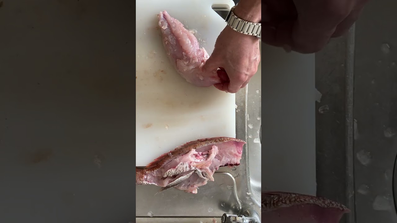 How to Osasimi!Tai!鯛お刺身！三徳包丁でさばいています。sasimi hidekishibasaki2  shiva73 カスタムブル　世界アドバイザー芸術家芝先秀記