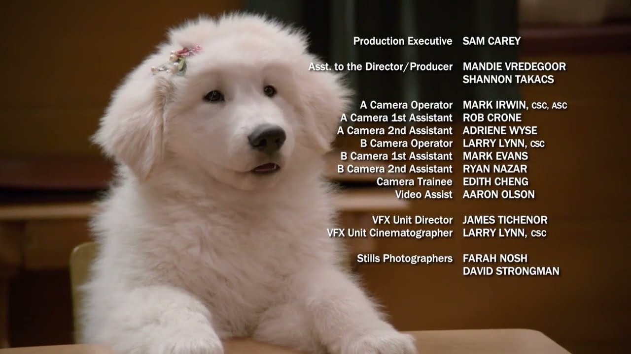 Santa Paws 2: The Santa Pups Ending (Polish, English)