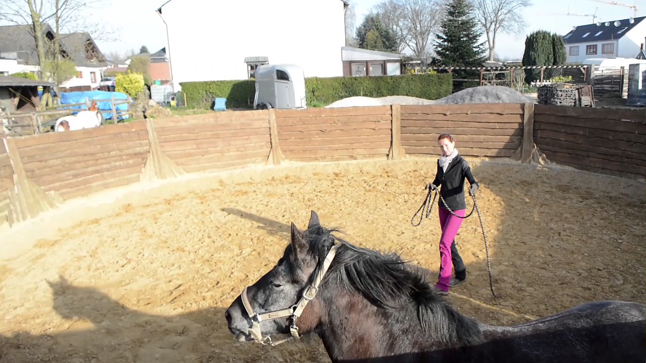 Roundpen? Ja, aber bitte ohne Stress!
