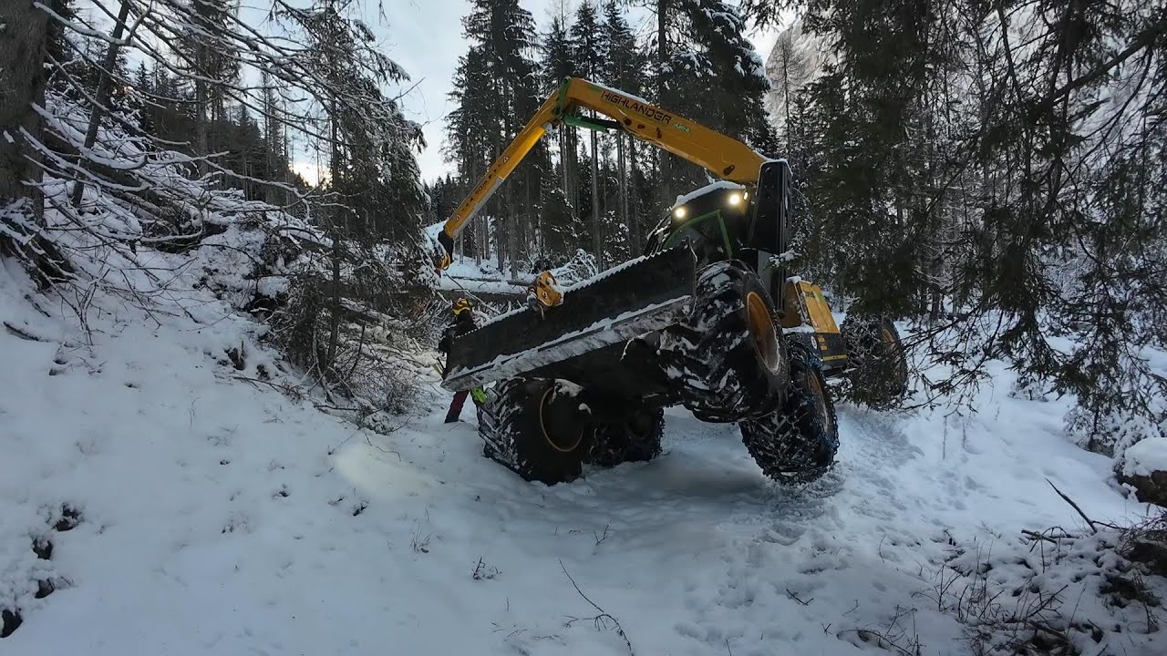 🌲 forest peg 🌲 Winter Wonderland - Konrad Highlander 1 : #