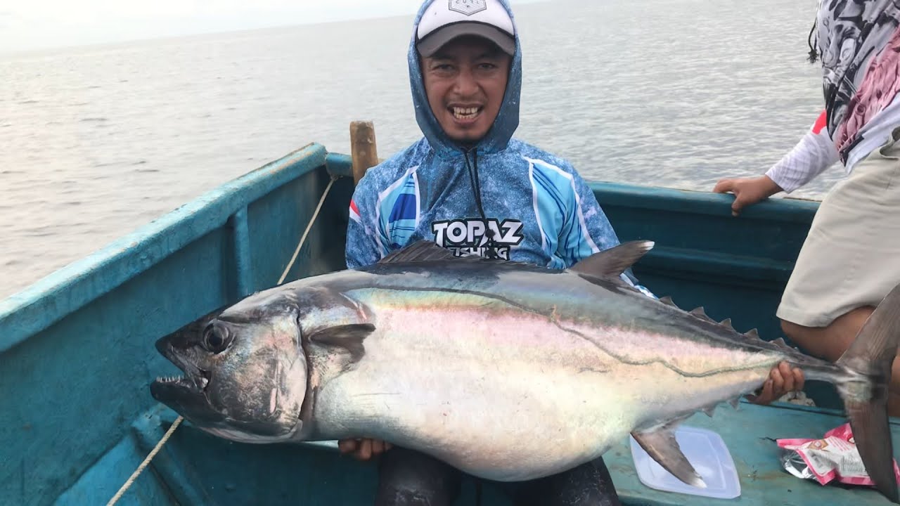 DAIDO TRISULA pro series PE 1_3 taklukkan dogtooth tuna 60 kg UP