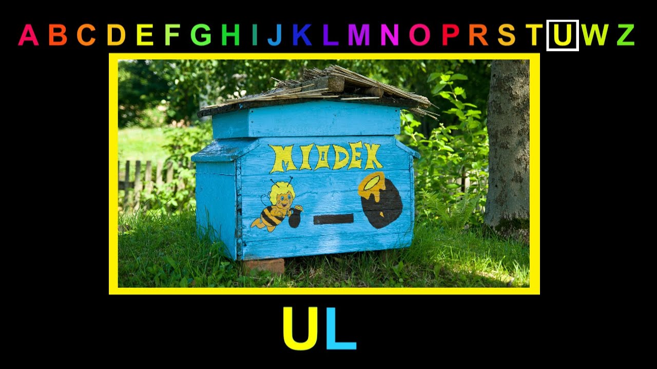 ALFABET - Litera U - abecadło dla dzieci po polsku. Bajka edukacyjna. Słowa na literę U. AbcZabawa