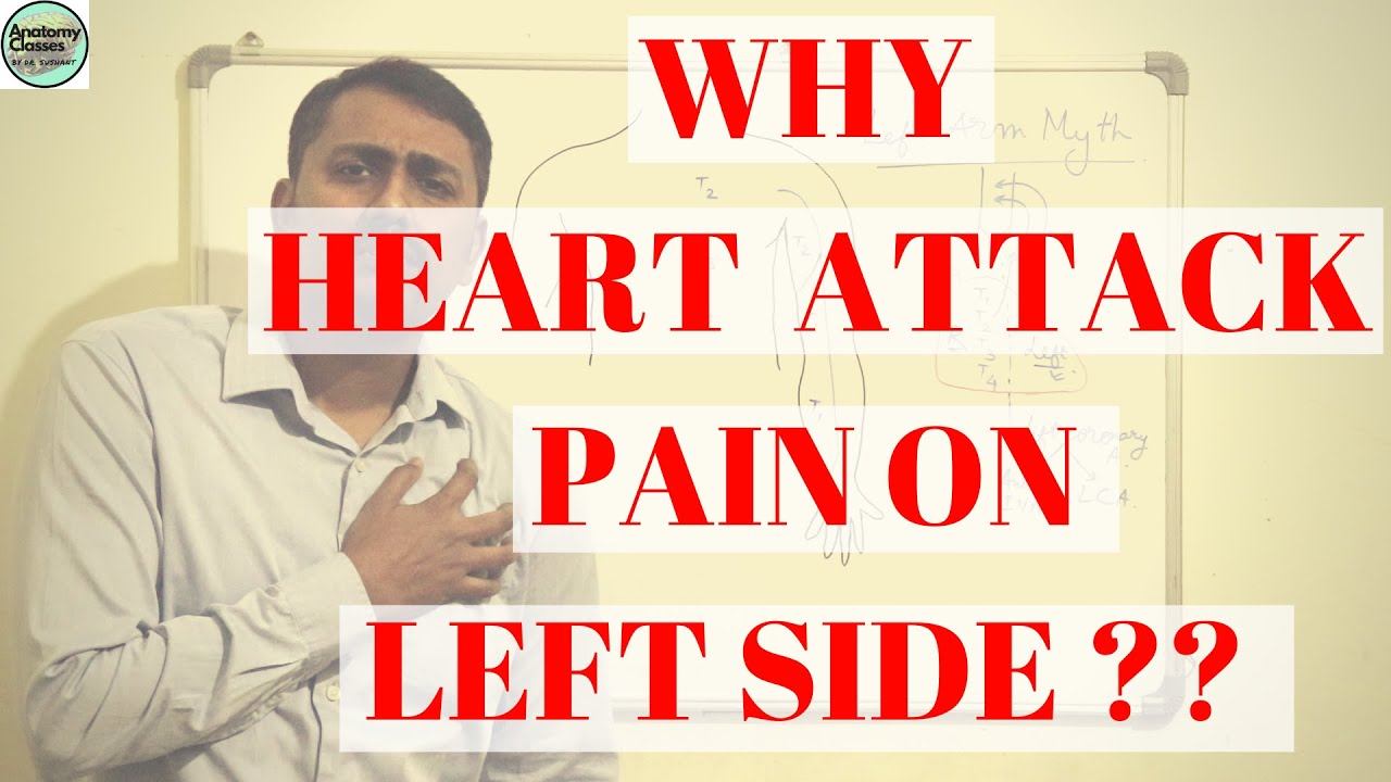 Why Heart Attack Pain on Left Side??? I Left chest, left inner arm & forearm