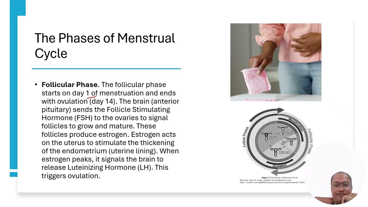 Science 10 Quarter 3: The Female Reproductive System and Menstrual Cycle
