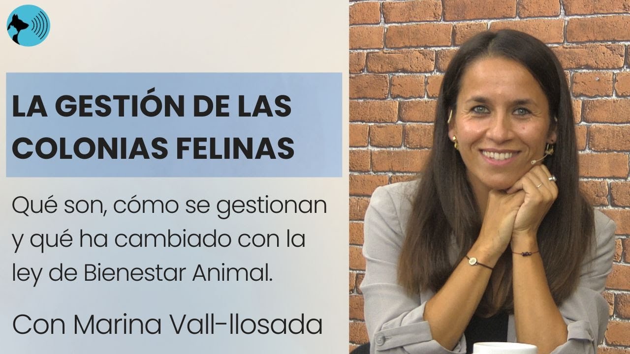 COLONIAS FELINAS