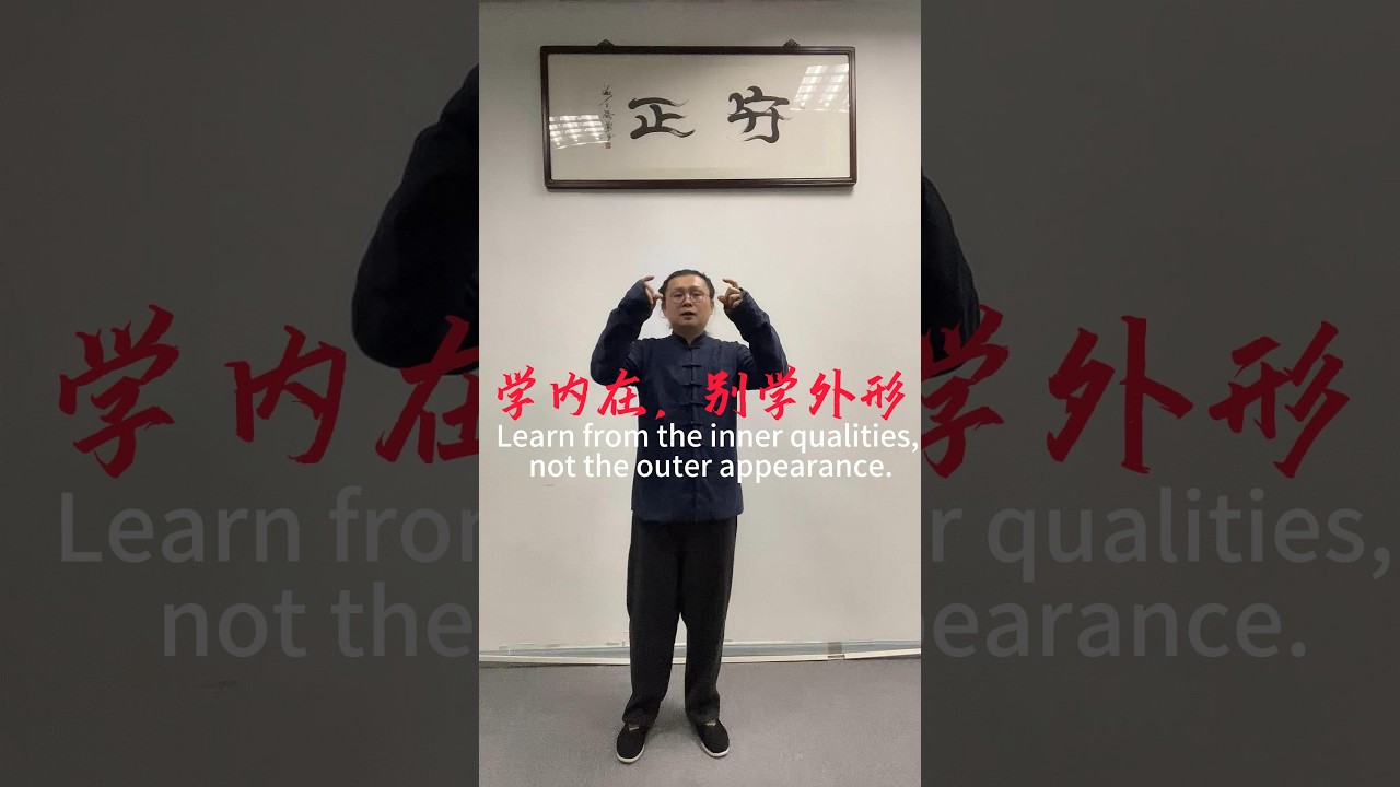 学内在，别学外形 #kungfu #chineseculture #内劲 #martialarts #武術 #太極拳
