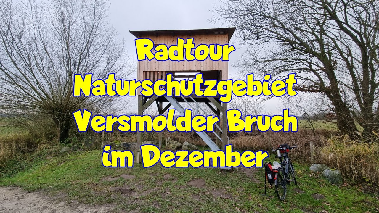 Radtour zum Naturschutzgebiet Versmolder Bruch im Dezember