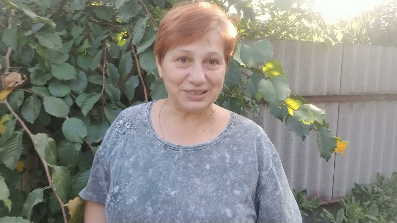 Отел первотелки в день свадьбы