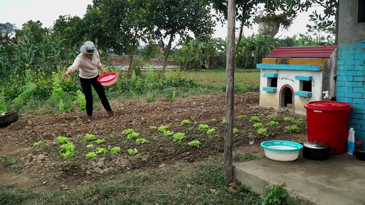 72 Hours Harvesting Lemongrass & Grapefruit &ndash; Selling Fresh at the Countryside Market 🍋🌿