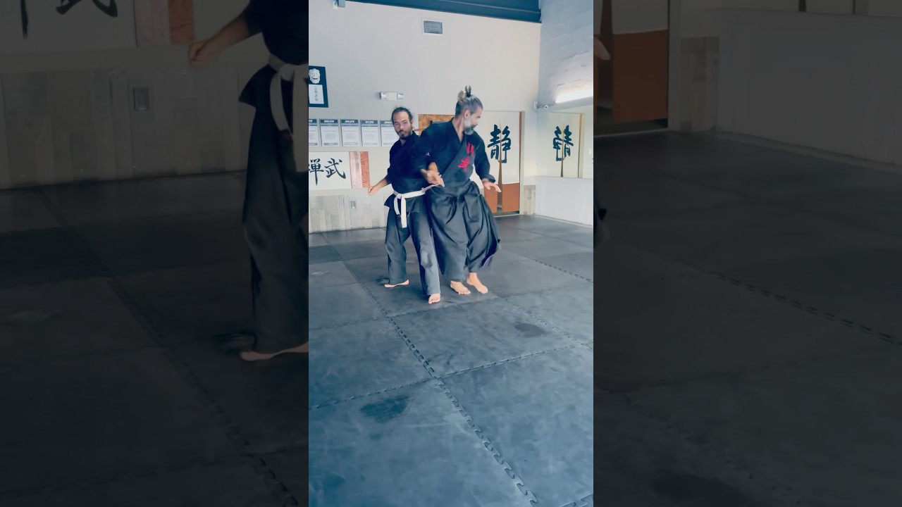 Aikido Chudan Tsuki Kotegaeshi