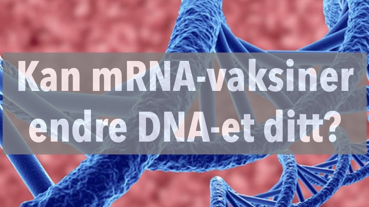 Kan en mRNA-vaksine endre DNA-et ditt?