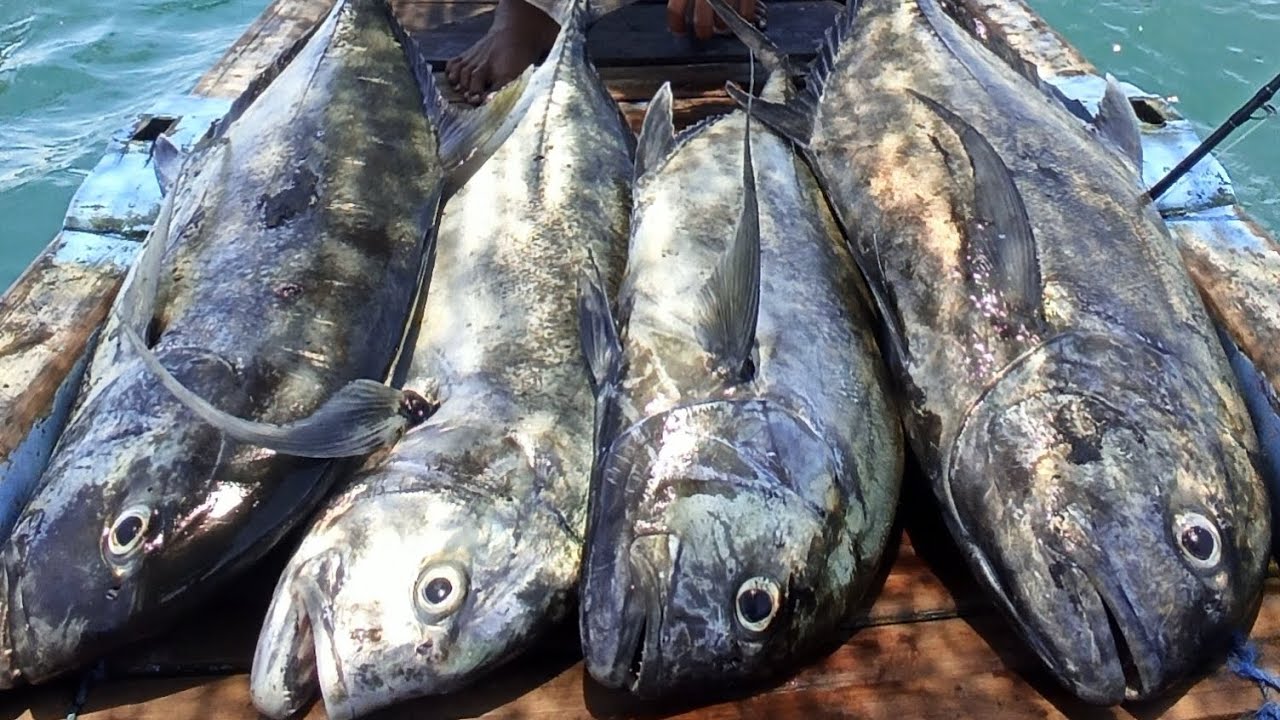 DOUBLE STRIKE‼️MANCING JIGGING DI PANTAI SIYUT BERSAMA KAPTEN BENDEGA ANYAR