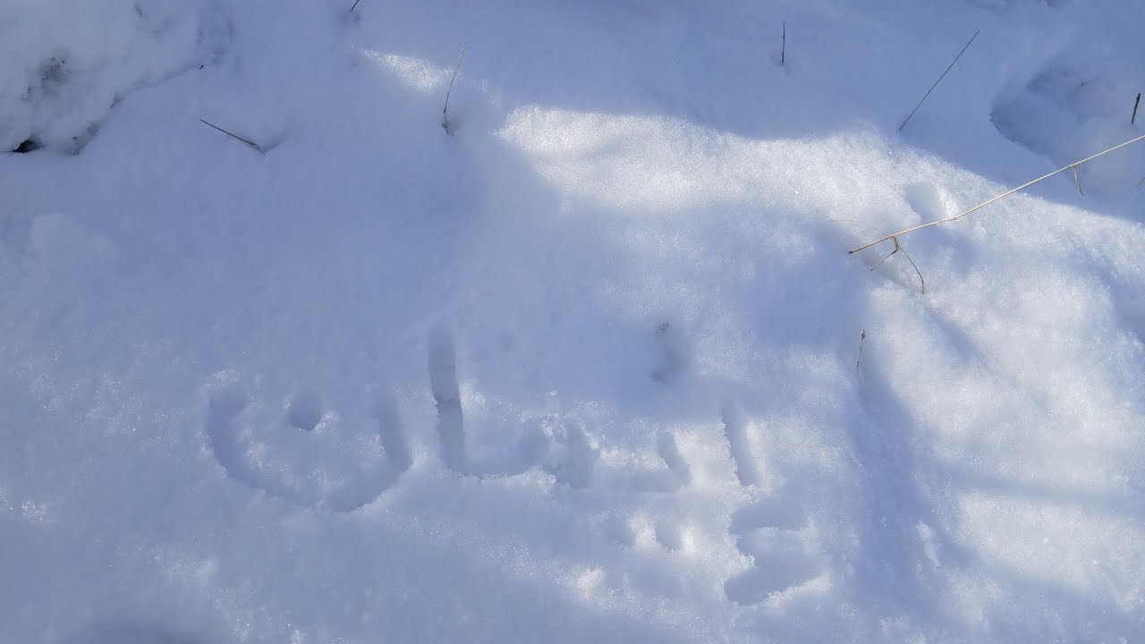 روتيني اليومي مع خرجا بزاااف شابة 🥶❄️