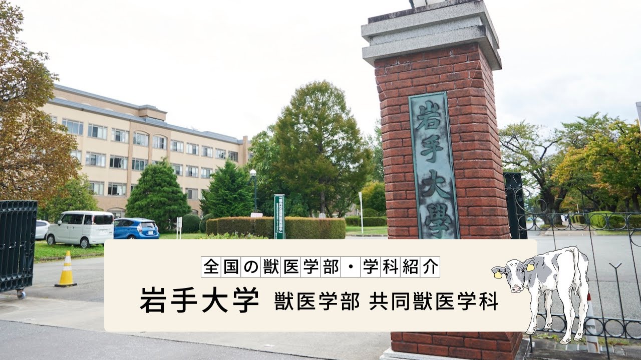 【全国の獣医学部・学科紹介】岩手大学 獣医学部 共同獣医学科