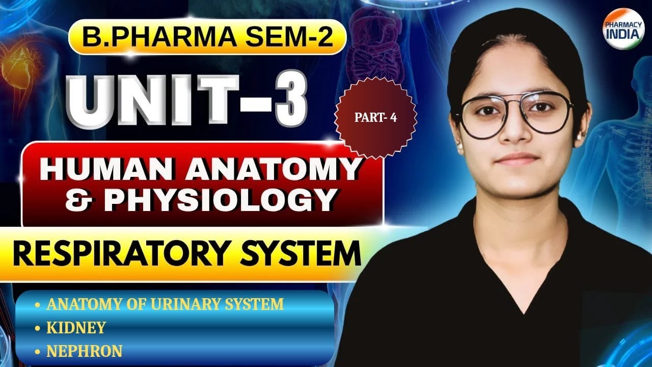 Anatomy Of Urinary System I Kidney I Nephron I HAP I P - 4 I U- 3 I Sem -2 I B.Pharm #humananatomy