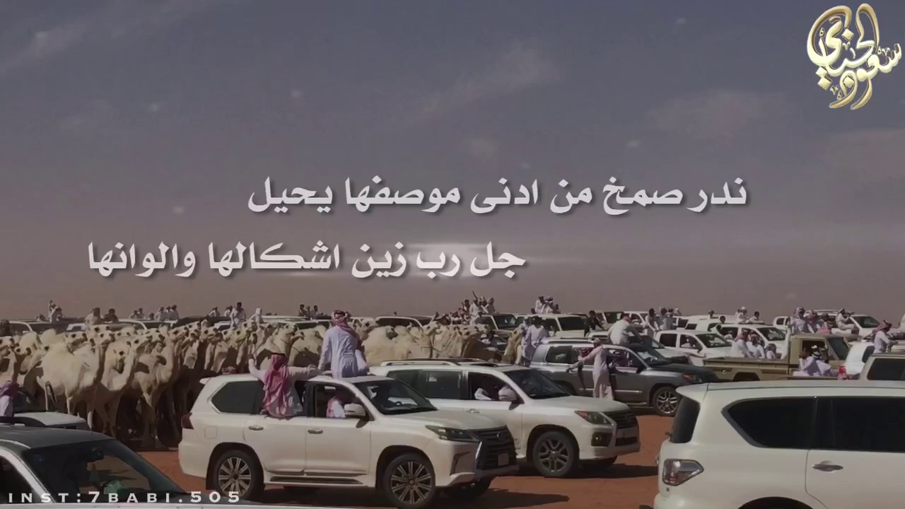 تغطية مسيرة وضح الجزيرة مضيمات للشيخ : عمير بن فهد ال روق القحطاني ادآء : الجفراني 2017