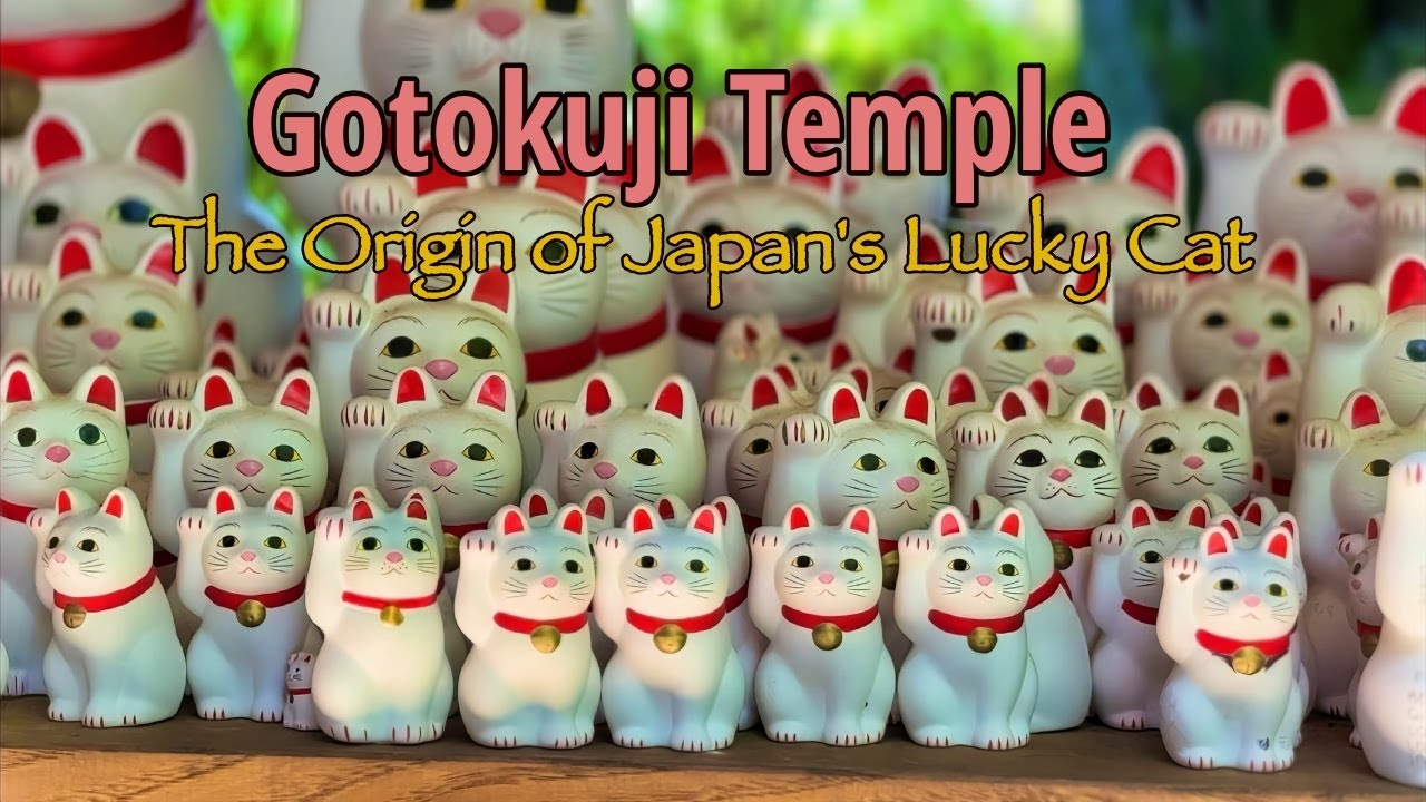 Discover The True Story Behind Japan's Beckoning Cat (Maneki-neko) Gotokuji Temple