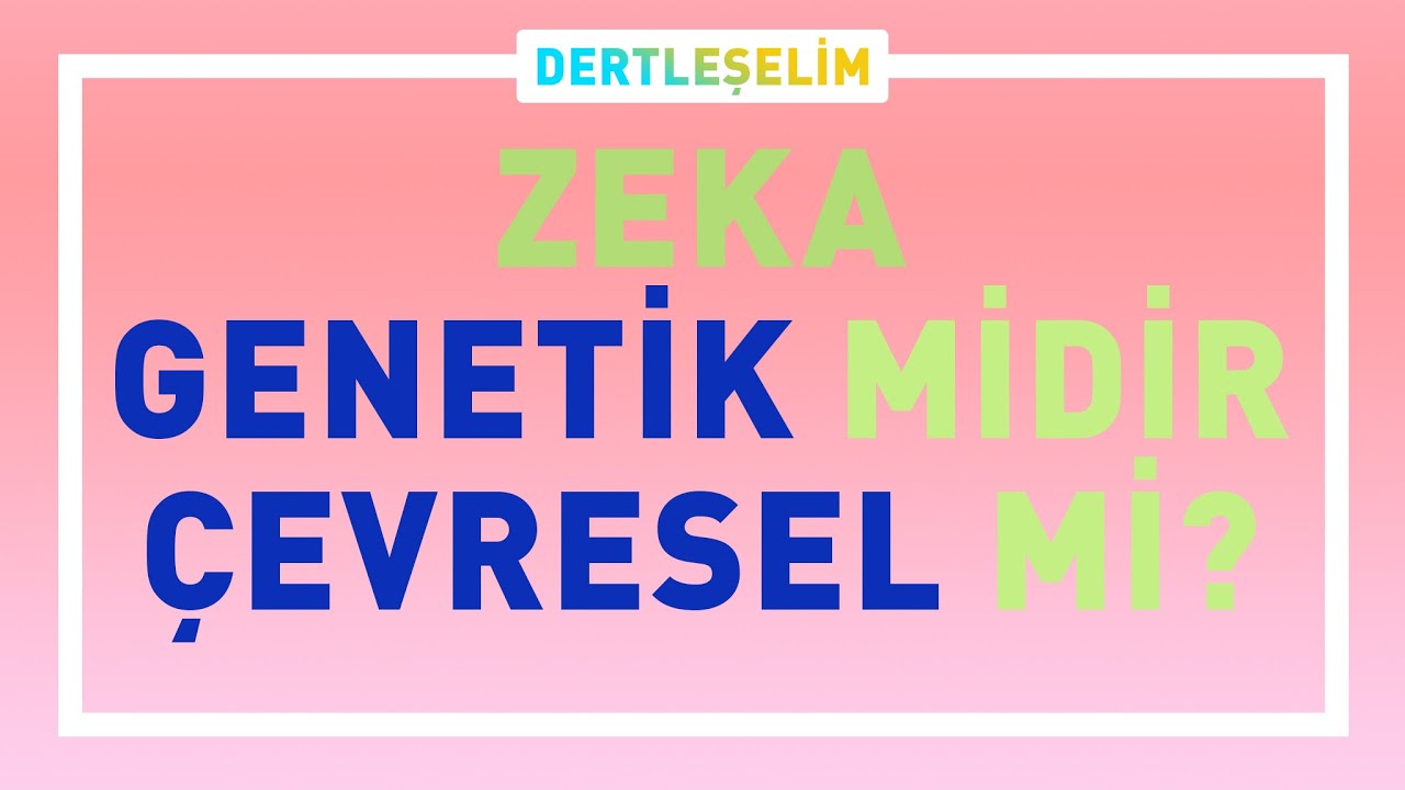 ZEKA GENETİK MİDİR YOKSA ÇEVRESEL MİDİR? | DERTLEŞELİM
