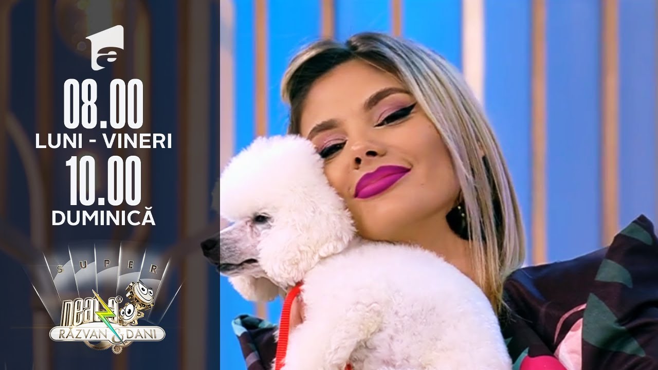 Invitați Neatza | Cei mai pufoși și blanosi căței din rasa Caniche
