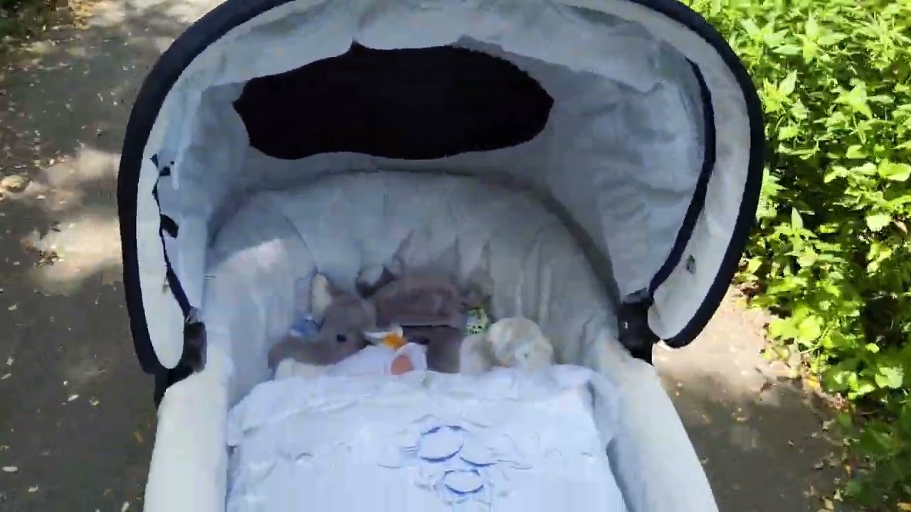 Eine schöne runde mit Reborn baby und toddler  ein kleiner Spaziergang (unbezahltes Werbevideo) 
