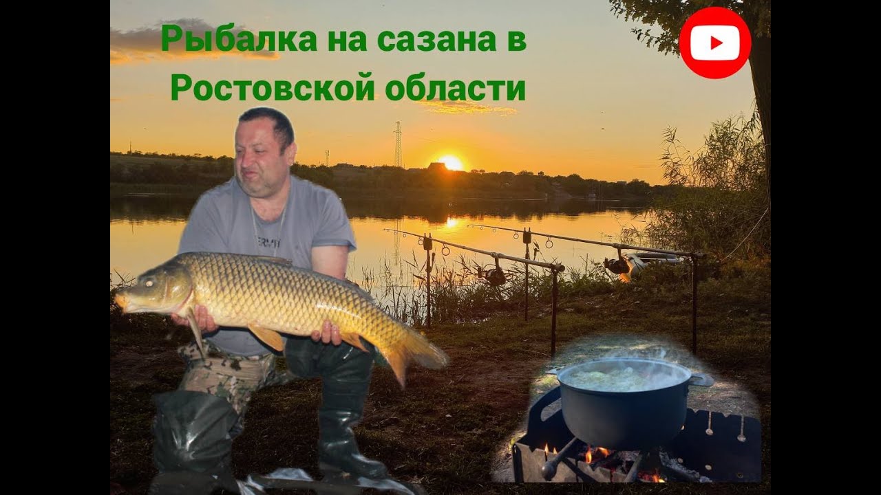 Ловля сазана в Ростовской области 2024