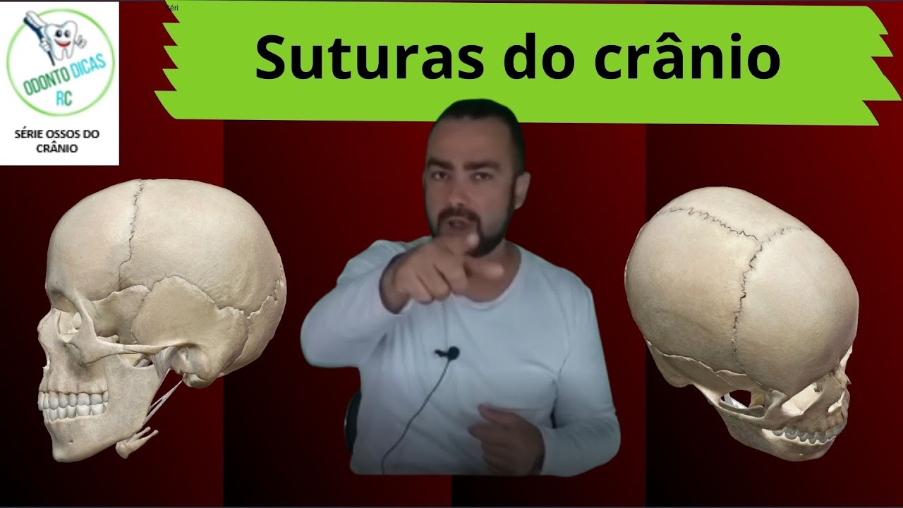 Ossos do crânio: suturas do crânio 4/8