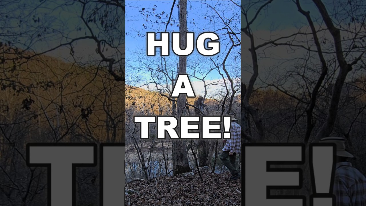 Go Hug A Tree! 
