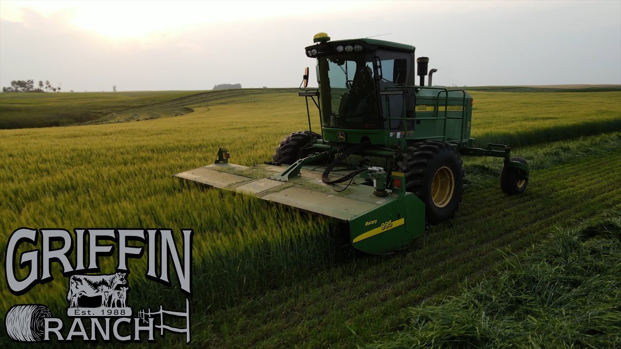 4995 Cuts Barley Hay Down