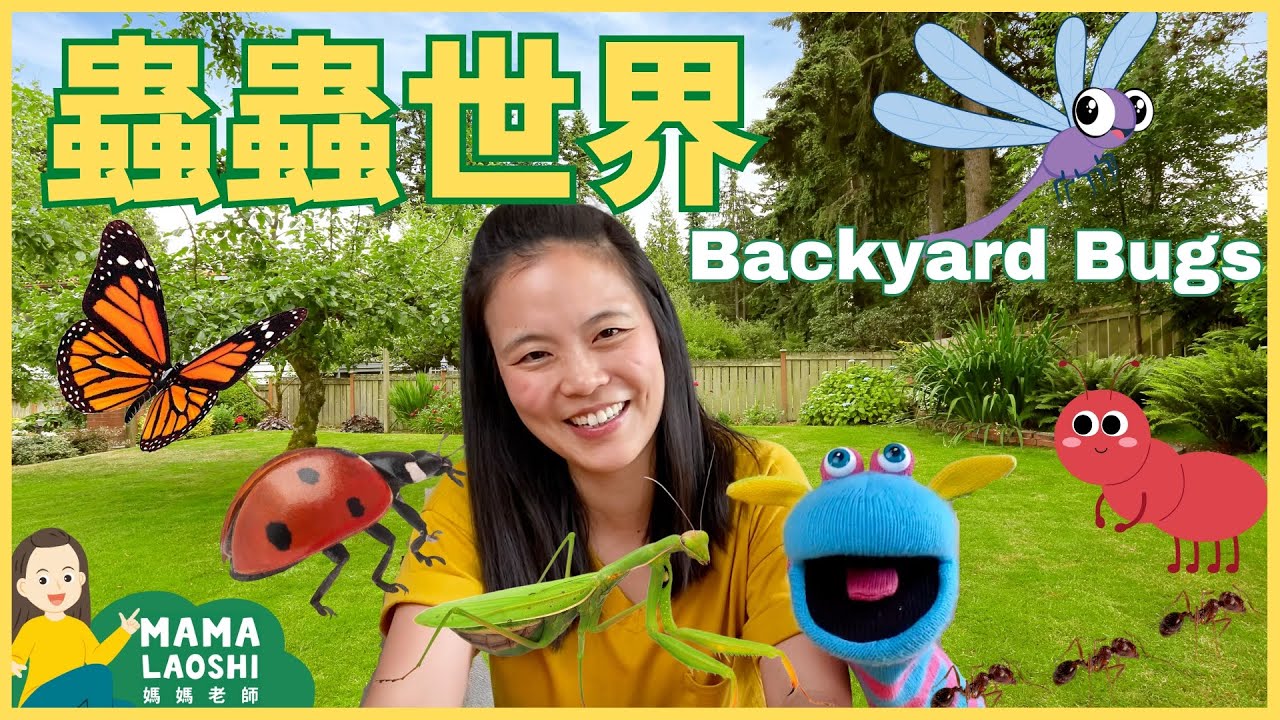 Everything about BUGS 🐛 for Kids in Chinese 小朋友認識昆蟲&甲蟲🐛 【螞蟻 獨角仙 糞金龜 螢火蟲 蝴蝶 瓢蟲 蜻蜓 螳螂 】| 27分鐘✨動物科普 學中文