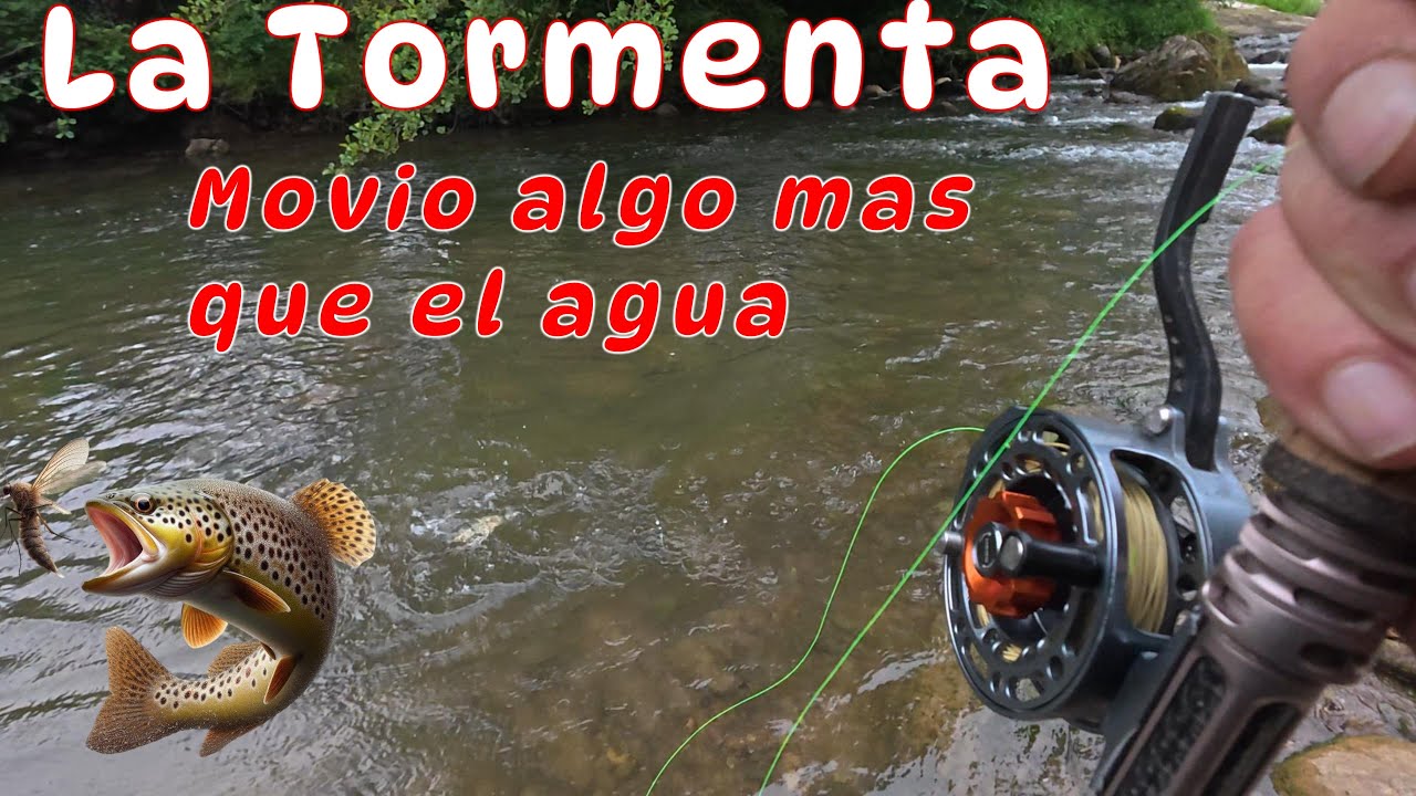La tormenta movio algo mas que el agua